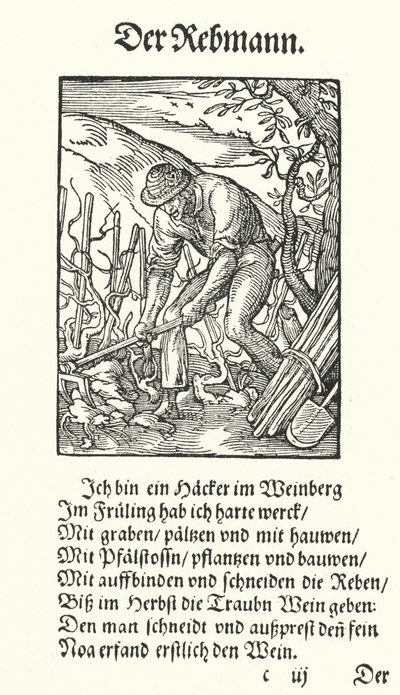 The Vine Grower by Jost (after) Amman