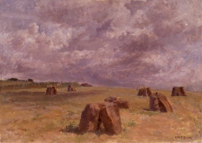 Plain Rocks by Joyce Haddon