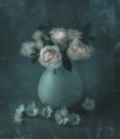 Dreamy Pastel Roses by Judy Tseng
