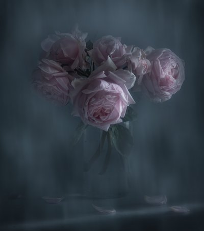 Moody Pink Roses by Judy Tseng