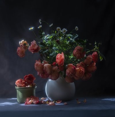 Moody Roses Still Life by Judy Tseng