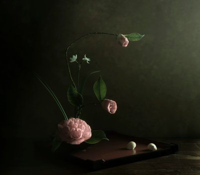 Pink Camellia Ikebana by Judy Tseng
