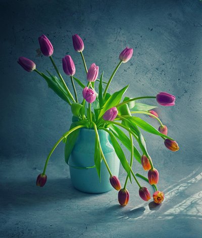 Vibrant Drooping Tulips by Judy Tseng