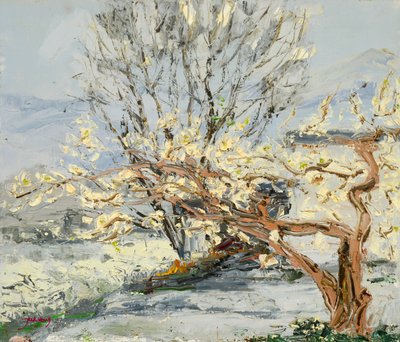 Blossoming Spring Trees by Jukyong Park