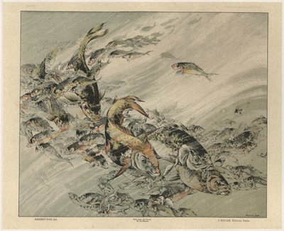 Fishes, Plate 7 from 