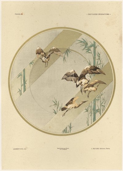 Storks, plate 10 from 