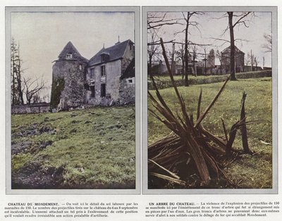 Chateau de Mondement, A Tree of the Chateau by Jules Gervais Courtellemont