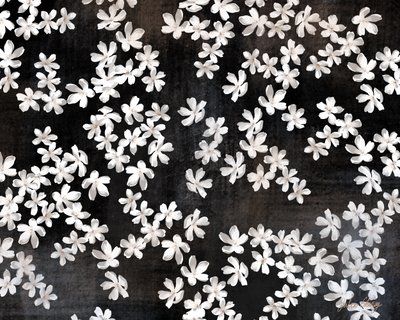 Delicate White Petals by Julia Cheney