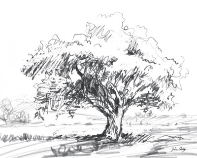 Rustic Tree Drawing by Julia Cheney