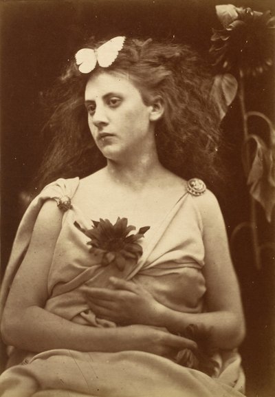 The Sunflower, early 1870s by Julia Margaret Cameron
