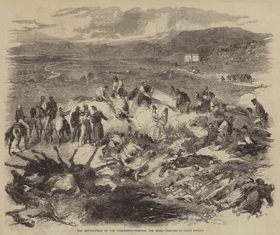 The Battle-Field of the Tchernaya, burying the Dead by Julian Portch