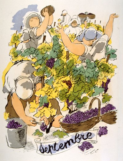 Humorous Wine Illustration 1946 by Julien Pavil