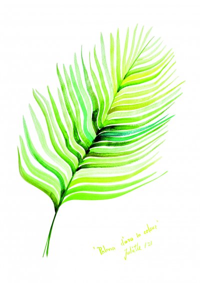 Vibrant Tropical Leaf by Julija Belickienė