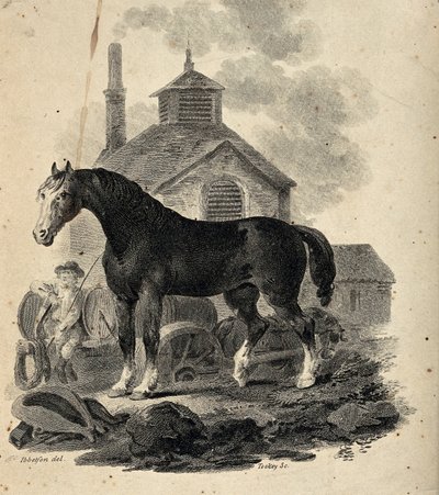 A Dray Horse Standing in Front of the Dray with the Drayman by Julius Caesar Ibbetson
