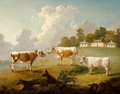 Three Long-Horned Cattle in Landscape by Julius Caesar Ibbetson