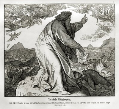 Fifth Day of Creation, Genesis by Julius Schnorr von Carolsfeld