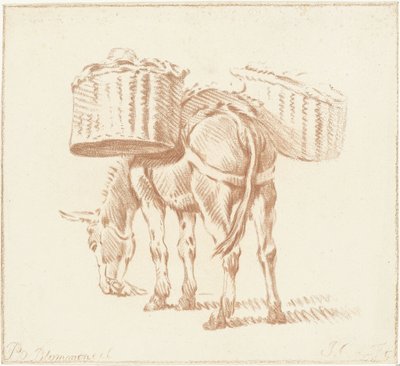 Loaded Donkey by Jurriaan Cootwijck
