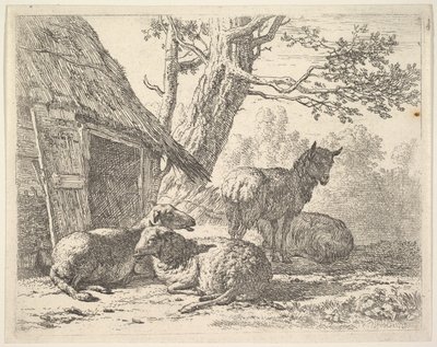 Four Sheep, One Sheep Stands Among Three Others Lying on the Ground Next to a Shed by Karel Du Jardin