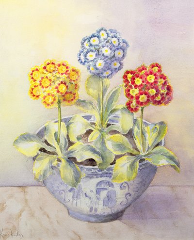 Auricula in a Chinese Pot by Karen Armitage