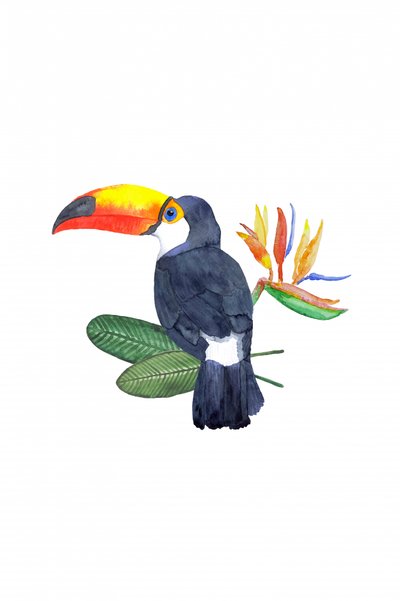 Tropical Toucan and Bloom by Karen Menzenbach