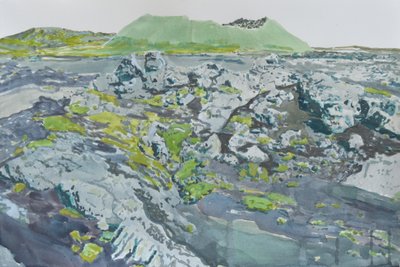 Mossy Volcanic Landscape by Karin Bos