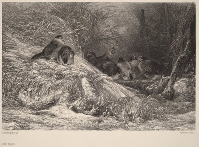Sheltered from the Frost by Karl Bodmer