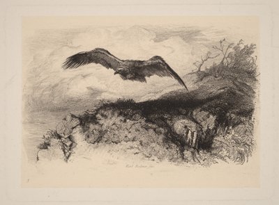 Eagle in Flight by Karl Bodmer