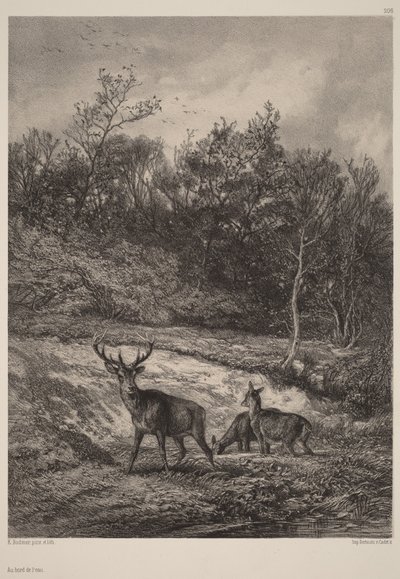 By the Water by Karl Bodmer