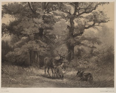 Deer at the Feeding Ground by Karl Bodmer