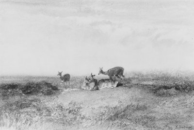 Deer in a Landscape by Karl Bodmer