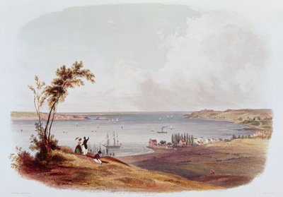 Entry to the Bay of New York, Staten Island, engraved by Salathe by Karl Bodmer