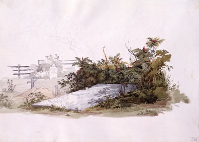 Grave of the Brethren at Gnadenhutten by Karl Bodmer