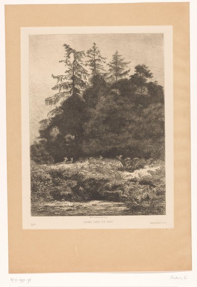 Deer at the Edge of a Forest by Karl Bodmer