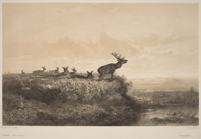 The Morning by Karl Bodmer