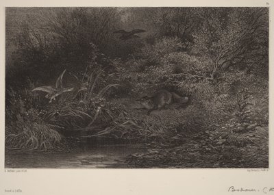 Fox on the Prowl by Karl Bodmer