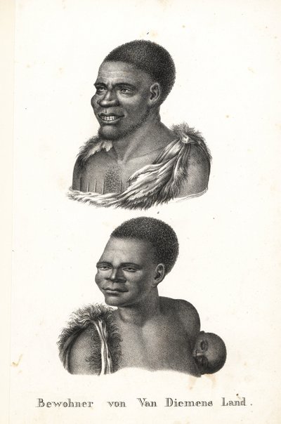 Natives of Tasmania, Van Diemen