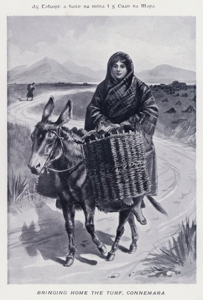 Bringing Home the Turf, Connemara by Karl Karlovich Piratsky