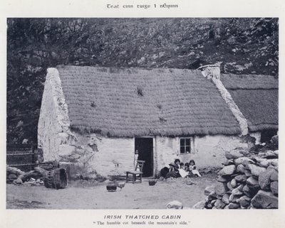 Irish Thatched Cabin by Karl Karlovich Piratsky