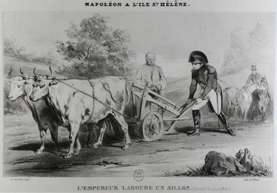 Napoleon (1769-1821) on St. Helena, Engraved by Francois le Villain by Karl after Loeillot Hartwig