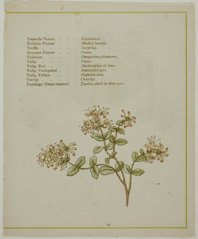 Valerian Through Volkamenia, from The Illuminated Language of Flowers by Kate Greenaway