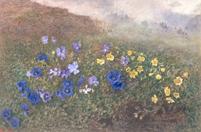 Spring Mountain Flowers, 1896 by Kate fl.1873 96 Goodwin