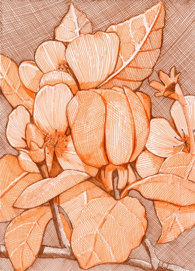 Hatched Orange Blossoms by Katie O'Shea