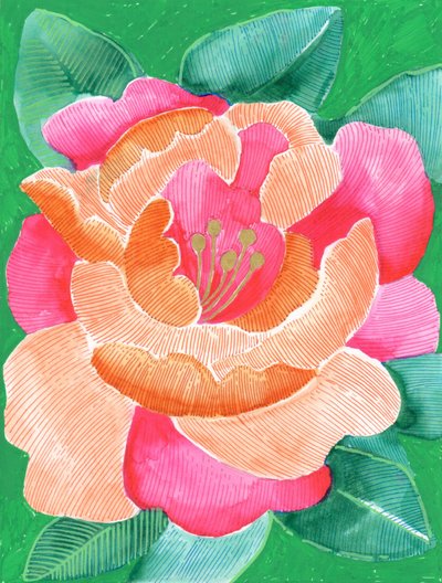 Vibrant Floral Bloom by Katie O'Shea