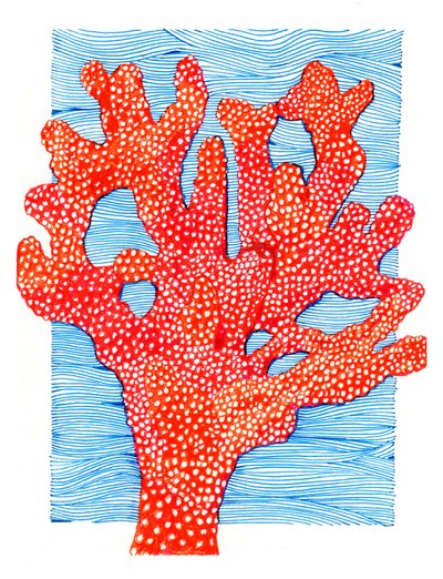 Vibrant Red Coral by Katie O'Shea