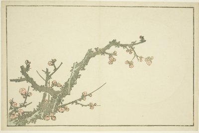 Blooming Plum Tree, from The Picture Book of Realistic Paintings of Hokusai by Katsushika Hokusai