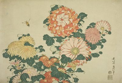Chrysanthemums and Bee, from an Untitled Series of Large Flowers by Katsushika Hokusai