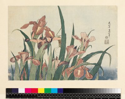 Irises and Grasshopper by Katsushika Hokusai