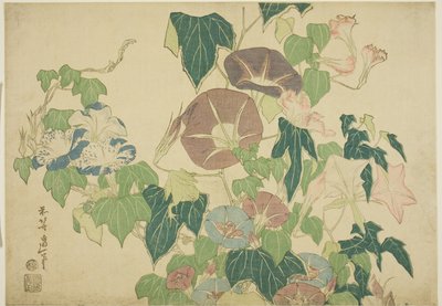 Morning Glories and Tree-frog, from an untitled series of Large Flowers by Katsushika Hokusai