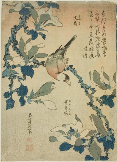 Paddy Bird and Magnolia Flowers, from an untitled series of flowers and birds by Katsushika Hokusai
