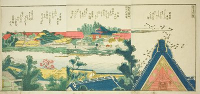 Pages from the Illustrated Book 